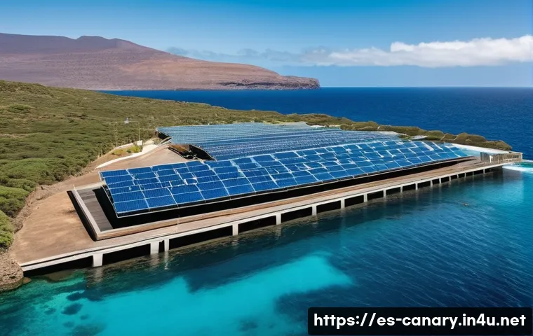 카나리아제도 유럽연합과의 관계 관련 이미지 2